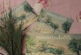 /album/galeria/fullsizerender-18-jpg/